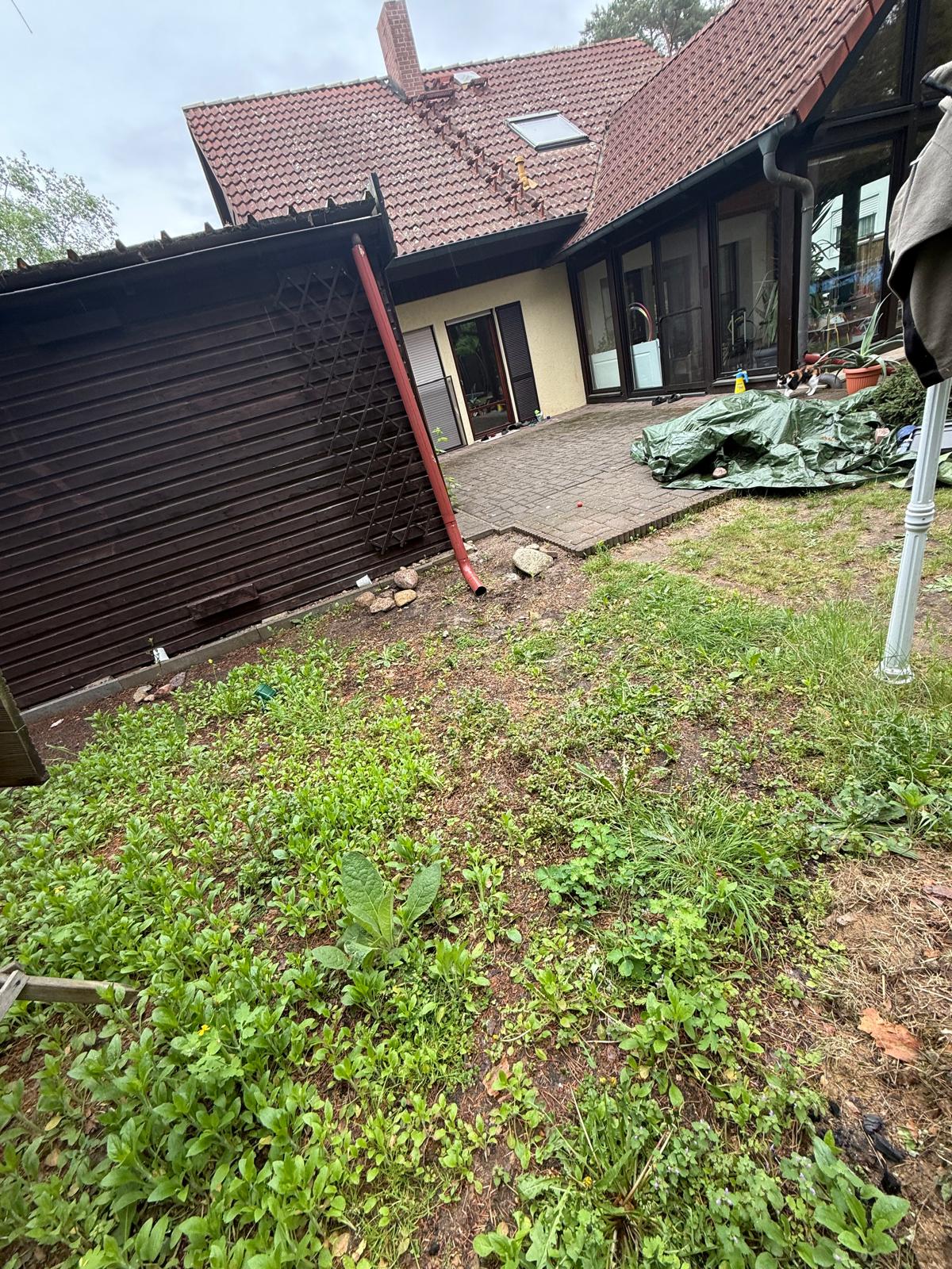 Verwilderte Hoffläche vor der Neuanlage, Beelitz-Fichtenwalde